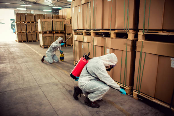 Best Wildlife Control Services  in Lock Haven, PA