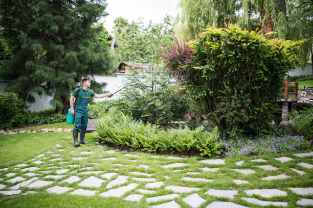 Best Insect Control  in Lock Haven, PA