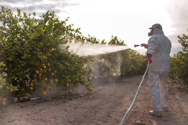 Best Best Pest Control Companies  in Lock Haven, PA