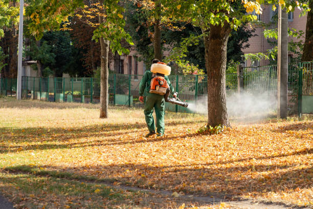 Best Flea Control Services  in Lock Haven, PA