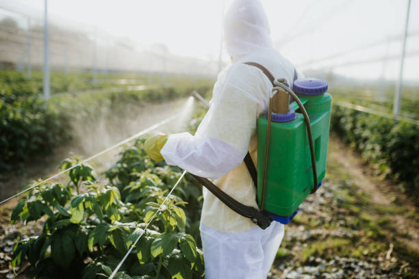 Best Best Pest Control Companies  in Lock Haven, PA